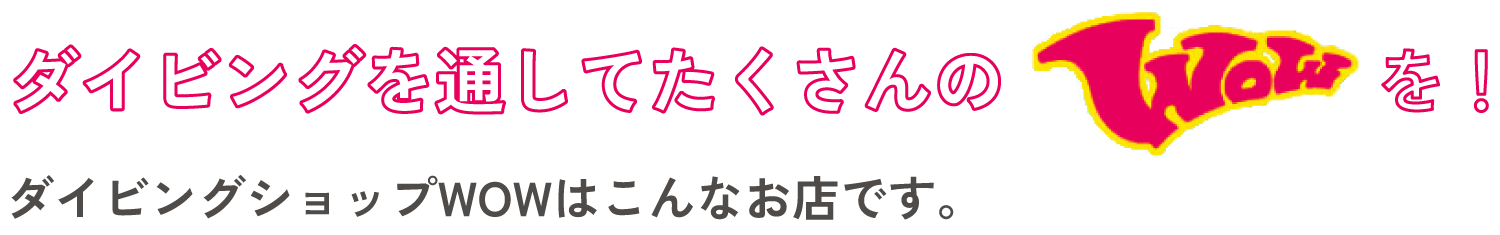ダイビングを通してたくさんのWOWを!ダイビングショップWOWはこんなお店です。
