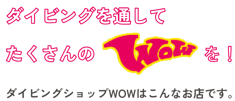 ダイビングを通してたくさんのWOWを!ダイビングショップWOWはこんなお店です。2