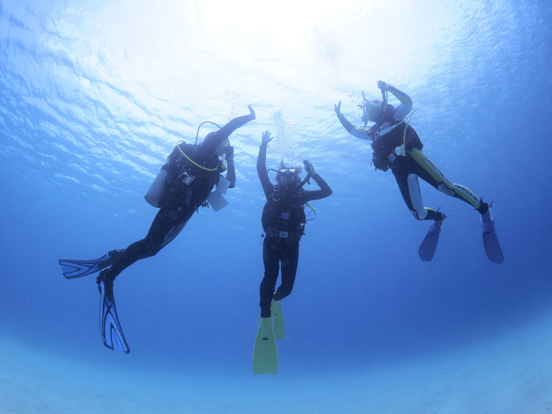 ダイビングの様子4