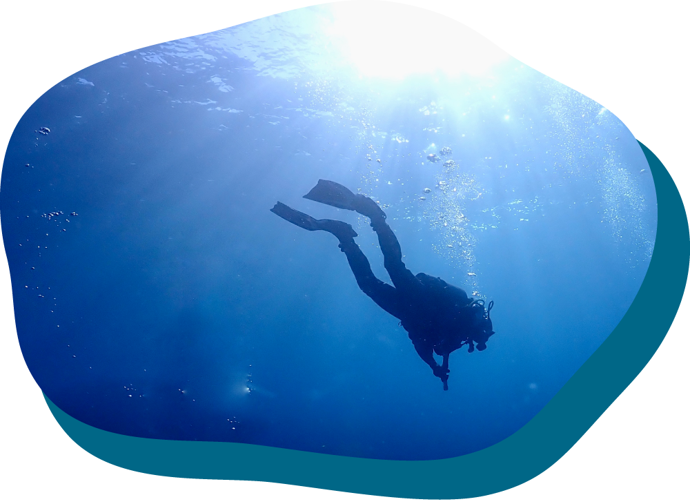 ご依頼お待ちしております!