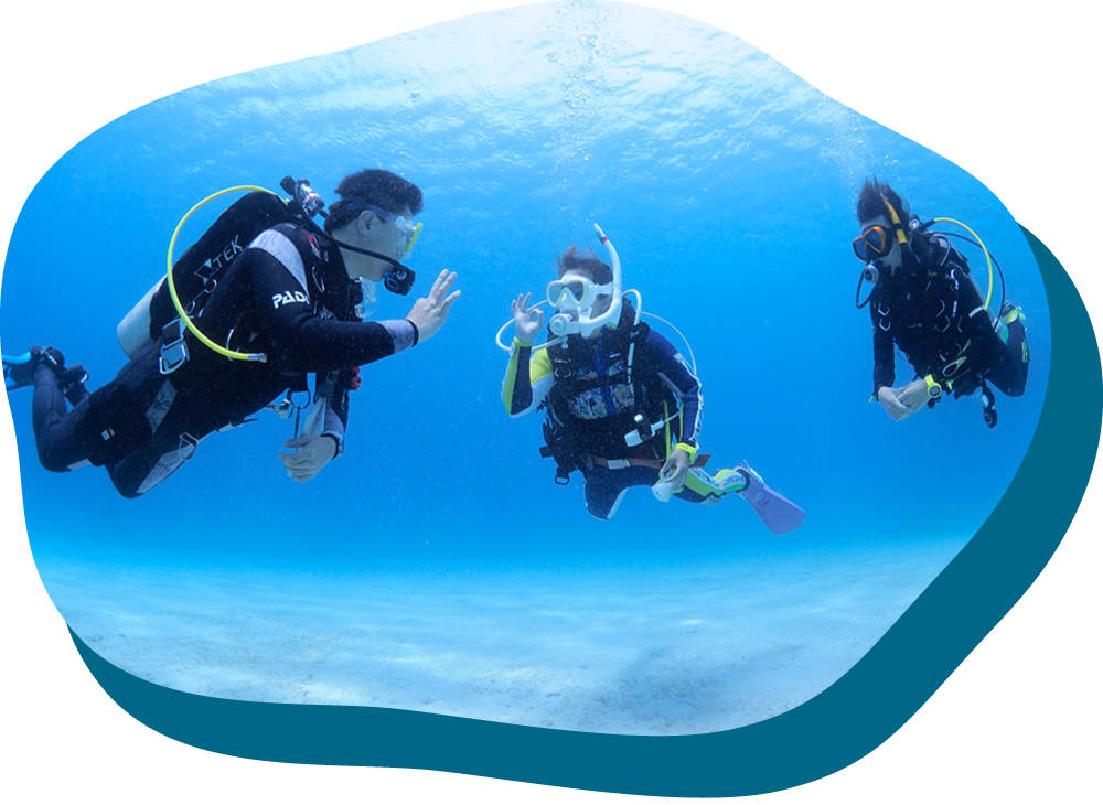 初心者大歓迎!体験ダイビング!【海まで往復送迎付き】