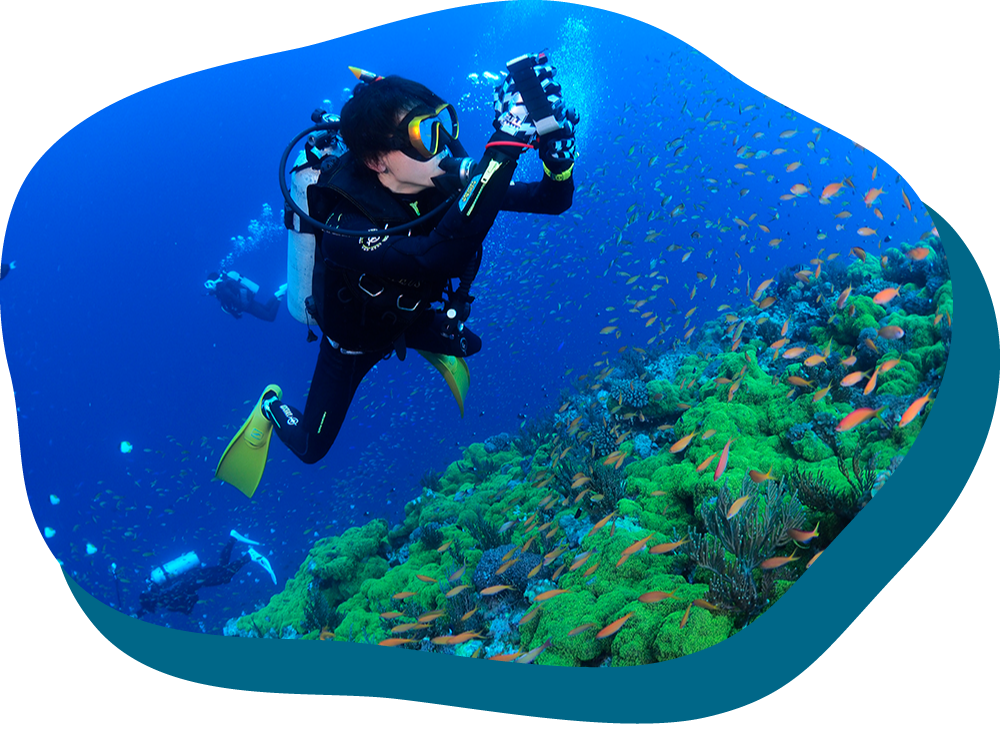 Cカード取得者限定!ダイビング〈2ダイブ〉【海まで往復送迎付き!】